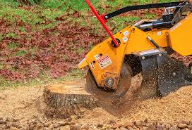 Best Tree Maintenance Programs  in Bremen, GA