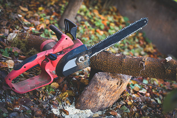 Best Tree Mulching  in Bremen, GA